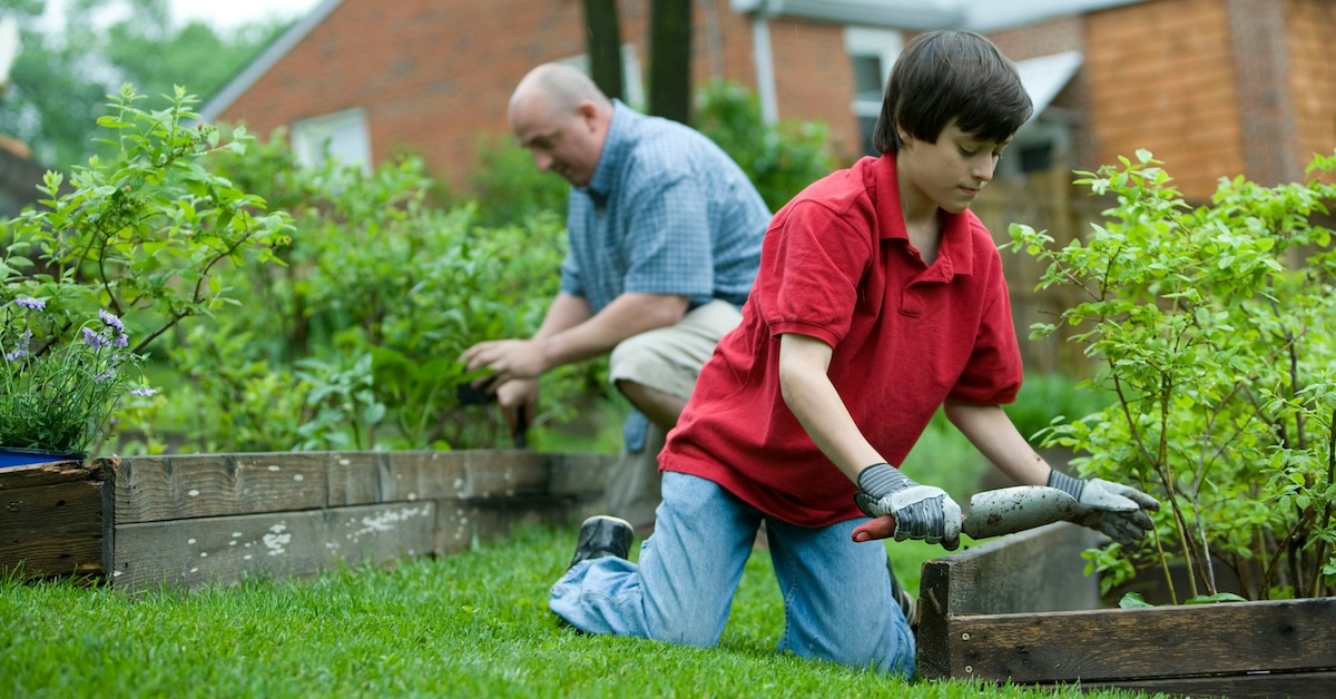 Cultivez votre pouce vert: guide du débutant pour un jardin prospère