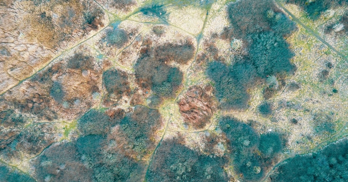 Comment éliminer la moisissure de votre maison