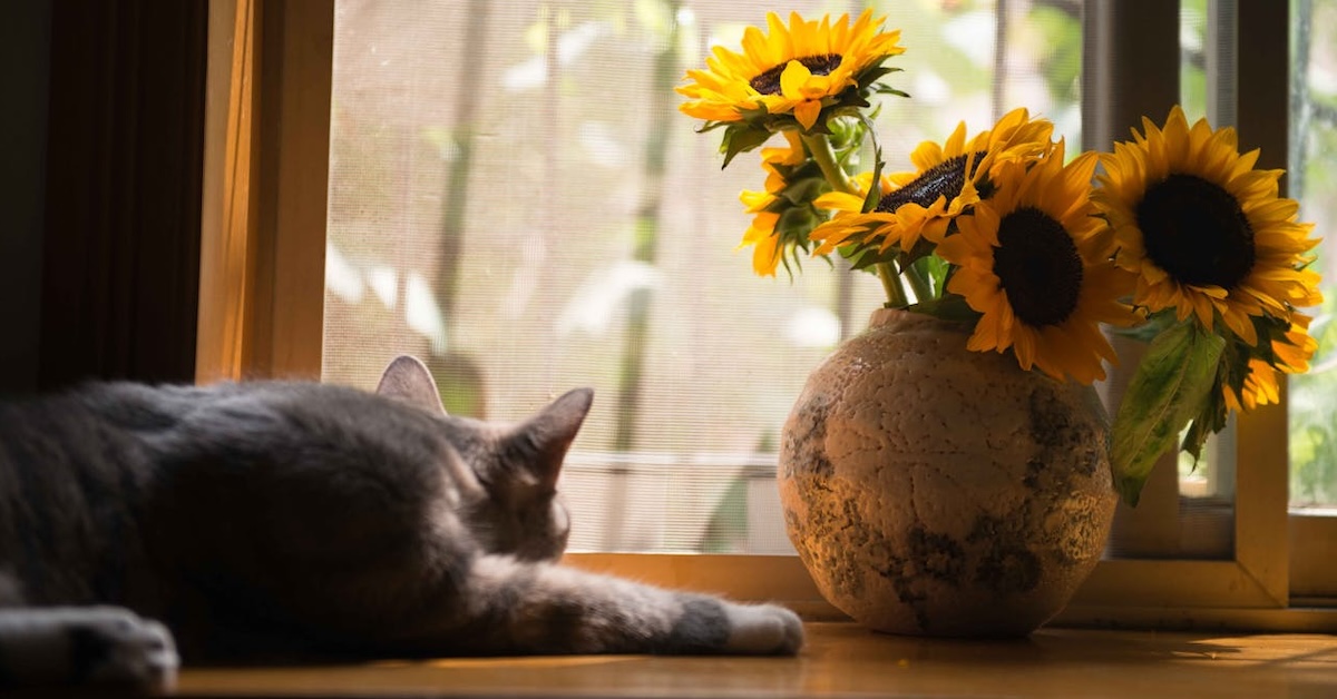 Embrassez le printemps avec une décoration intérieure élégante : des idées simples et rafraîchissantes