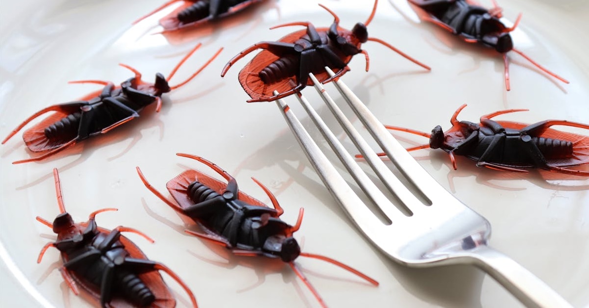 Comment se débarrasser des insectes à la maison